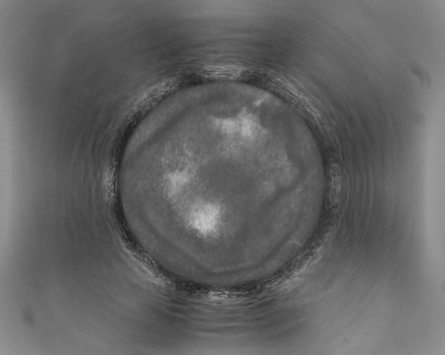 X0000110950641200907171629