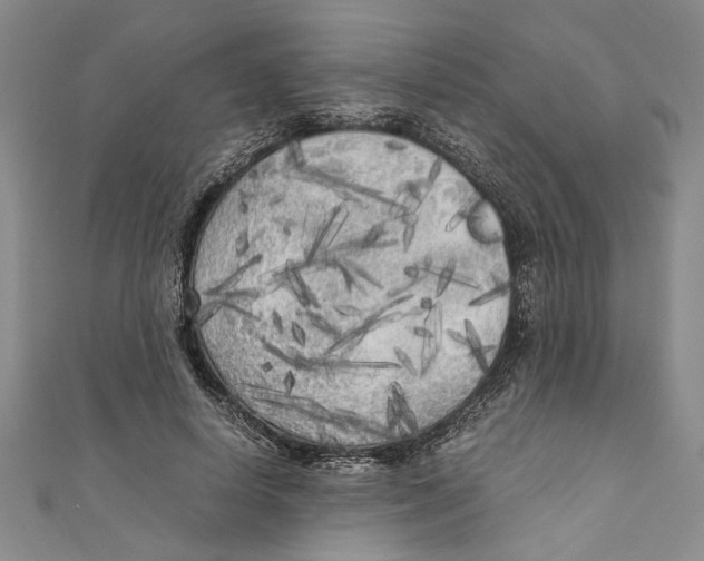 X0000110950642200907171629