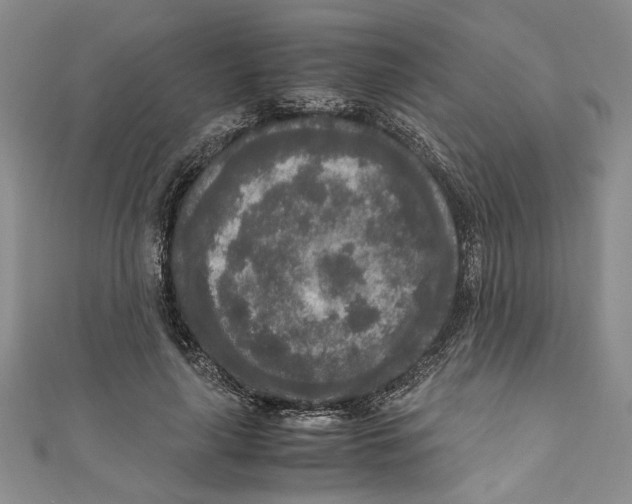 X0000110950643200907171629