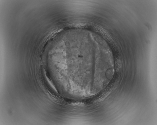 X0000110950644200907171629