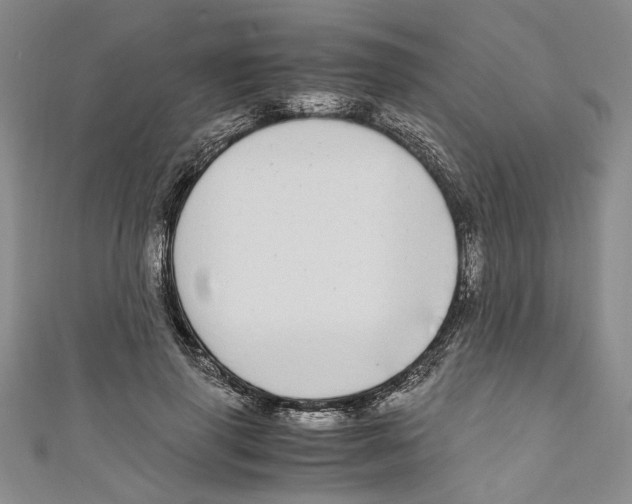 X0000110950645200907171629