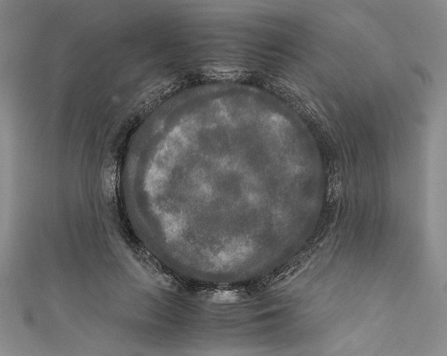 X0000110950647200907171629