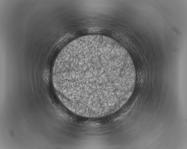 X0000110950648200907171629