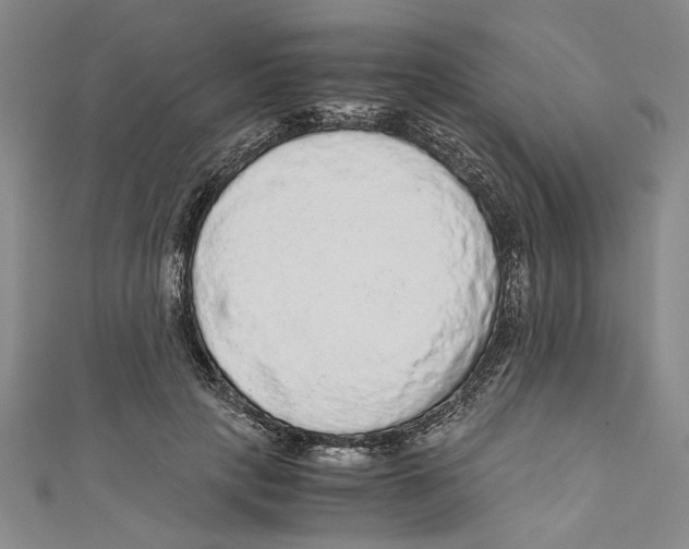 X0000110950649200907171629