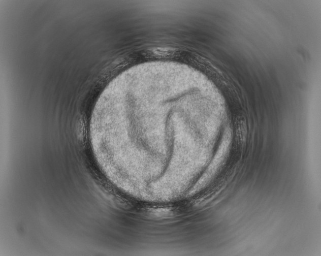 X0000110950651200907171629