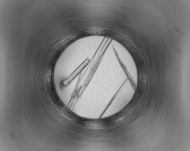 X0000110950652200907171629