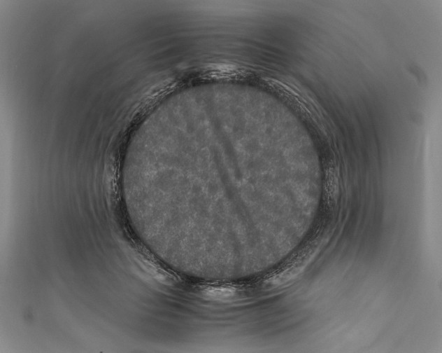X0000110950653200907171629