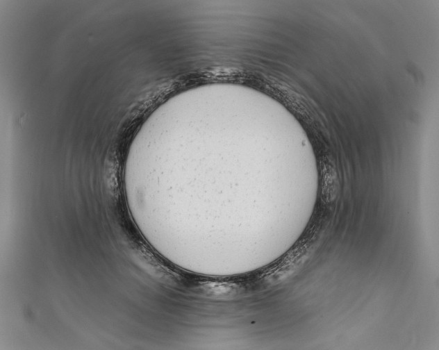 X0000110950654200907171629