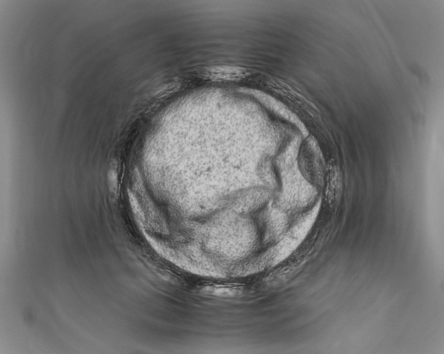 X0000110950655200907171629