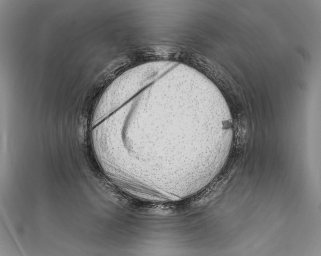 X0000110950656200907171629
