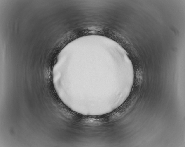 X0000110950657200907171629