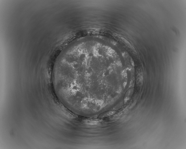 X0000110950661200907171629