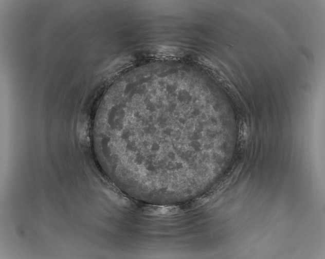 X0000110950663200907171629