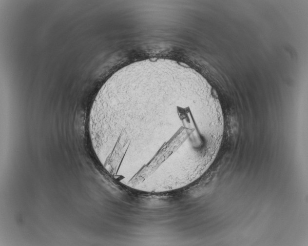 X0000110950664200907171629