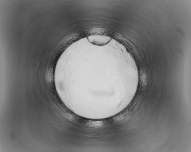 X0000110950665200907171630
