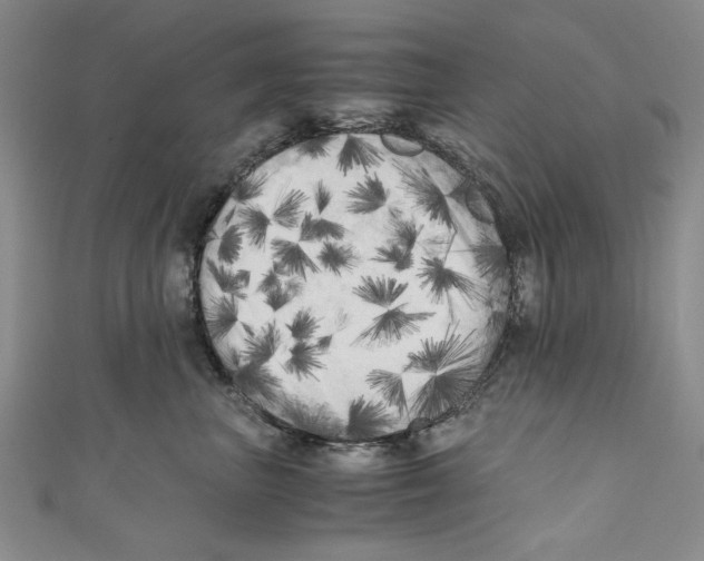 X0000110950667200907171630