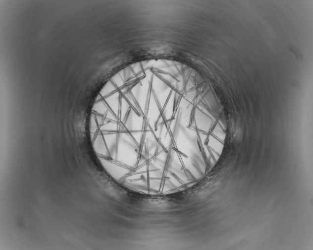 X0000110950668200907171630