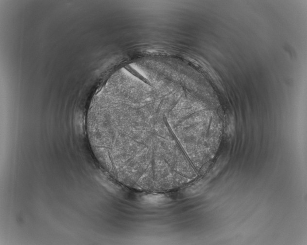 X0000110950669200907171630