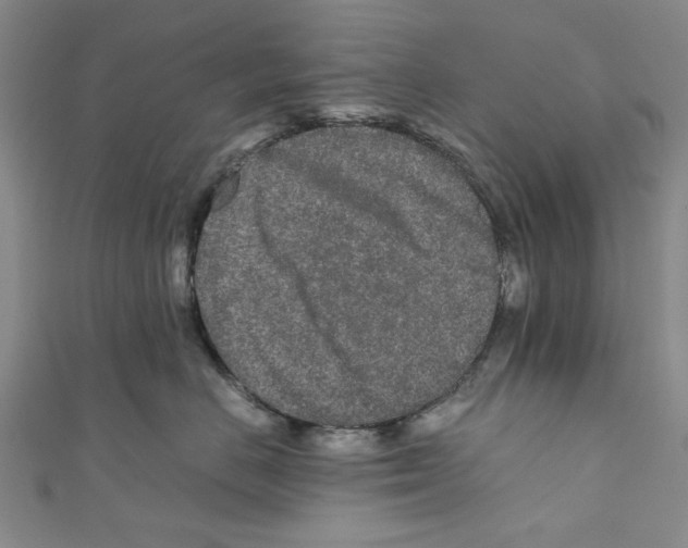 X0000110950670200907171630