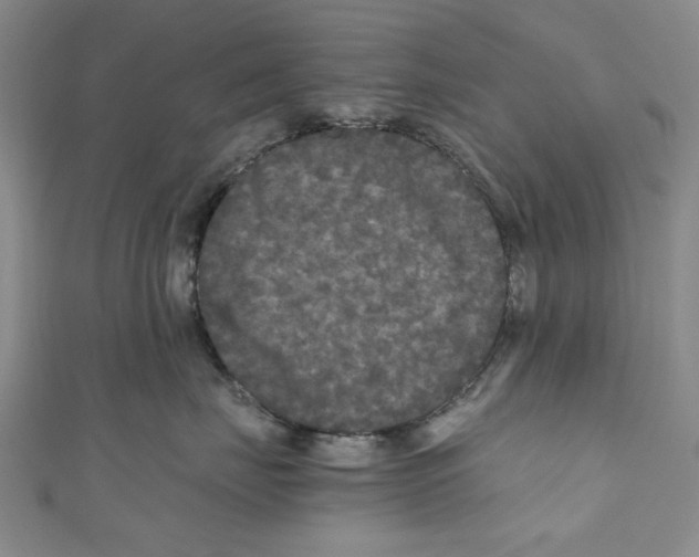 X0000110950671200907171630