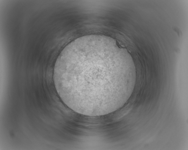 X0000110950672200907171630