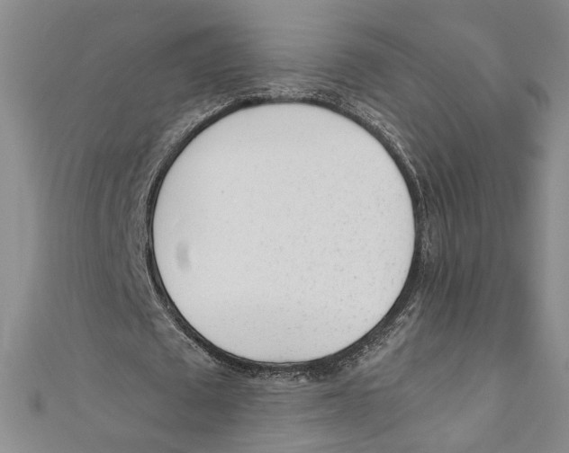 X0000110950673200907171629