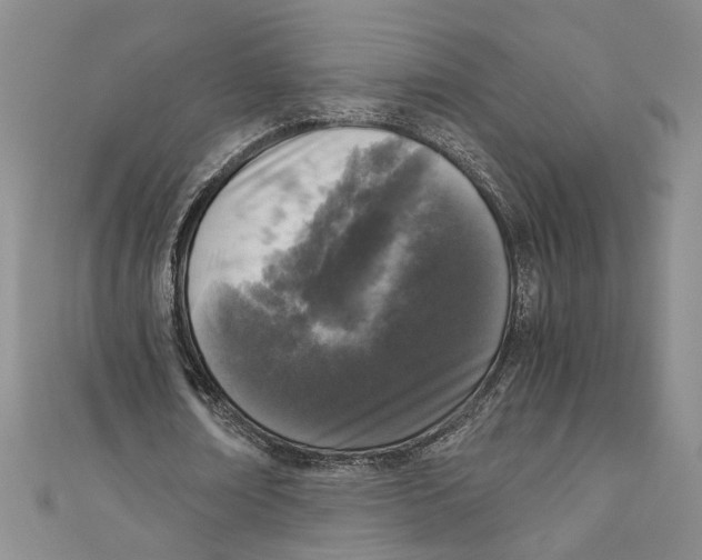 X0000110950674200907171629