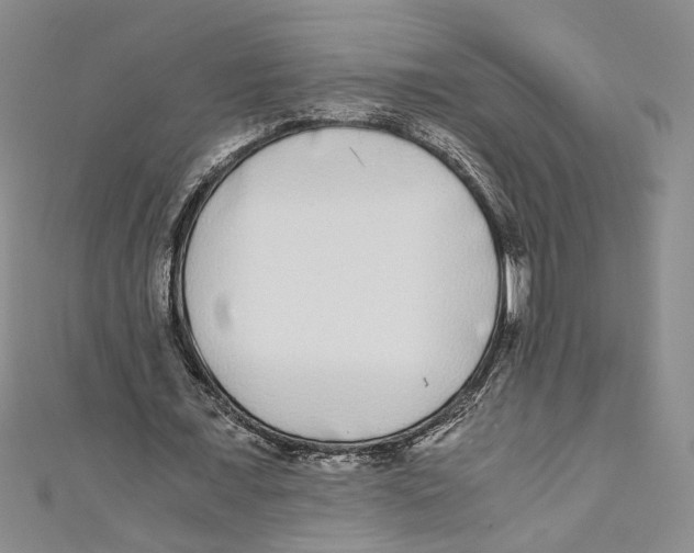 X0000110950675200907171629