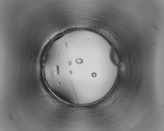 X0000110950676200907171629