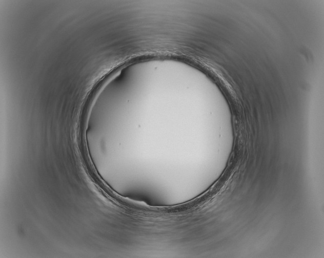 X0000110950677200907171629