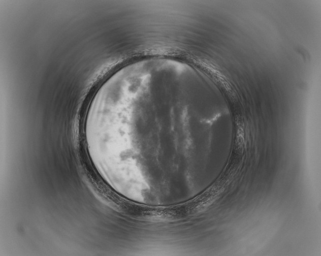 X0000110950678200907171629