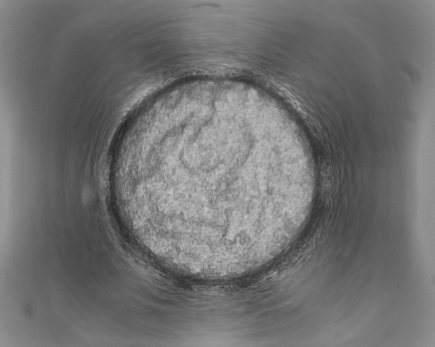 X0000110950679200907171629