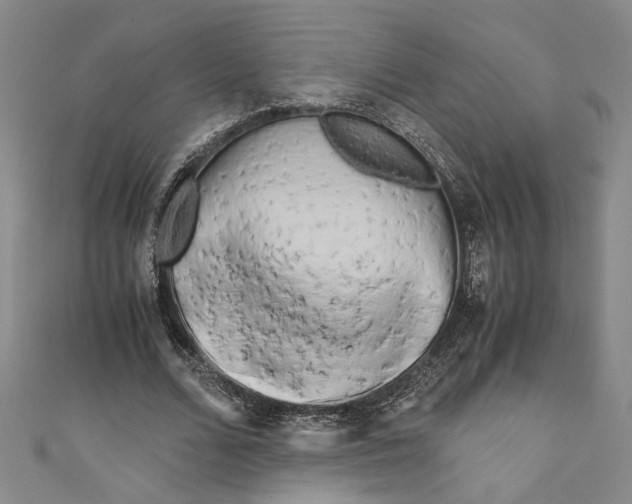 X0000110950680200907171629