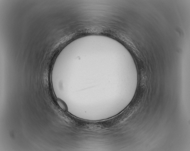 X0000110950681200907171629