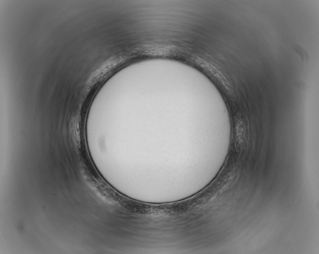 X0000110950682200907171629