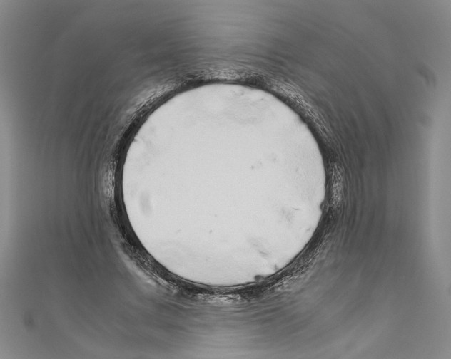 X0000110950683200907171629
