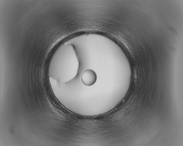 X0000110950684200907171629