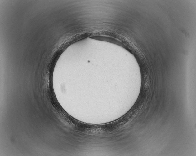 X0000110950685200907171629