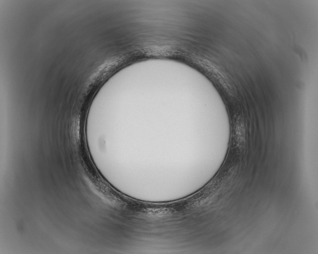 X0000110950686200907171629