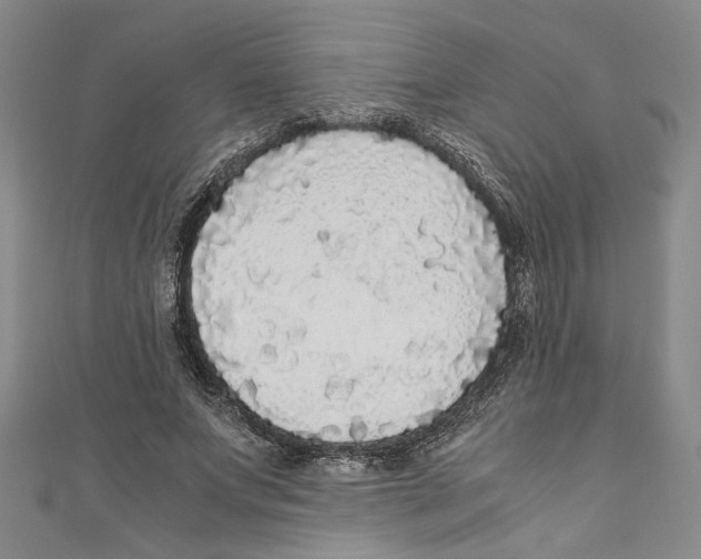 X0000110950687200907171629