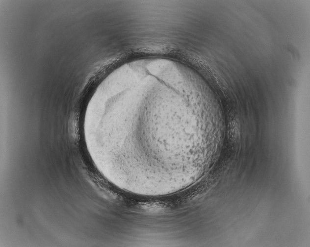 X0000110950688200907171629
