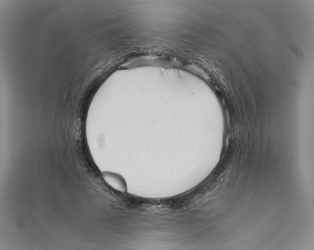 X0000110950689200907171629