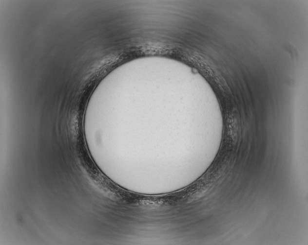 X0000110950690200907171629