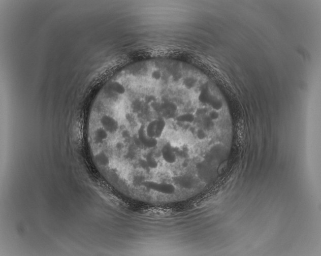 X0000110950691200907171629