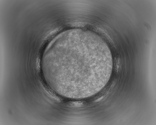 X0000110950692200907171629