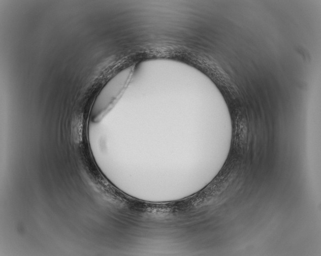X0000110950694200907171629