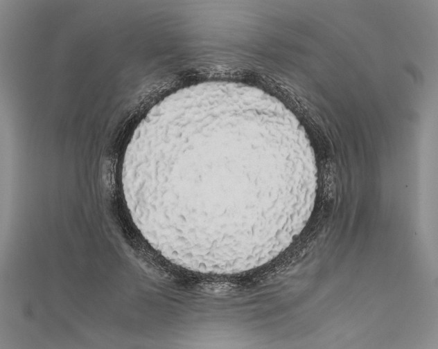 X0000110950695200907171629