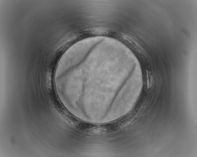 X0000110950696200907171629