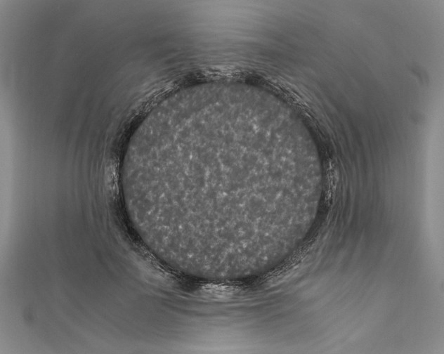 X0000110950699200907171629