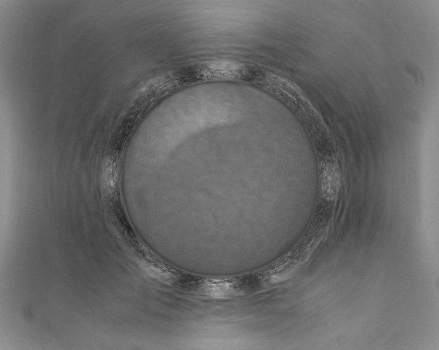 X0000110950701200907171629